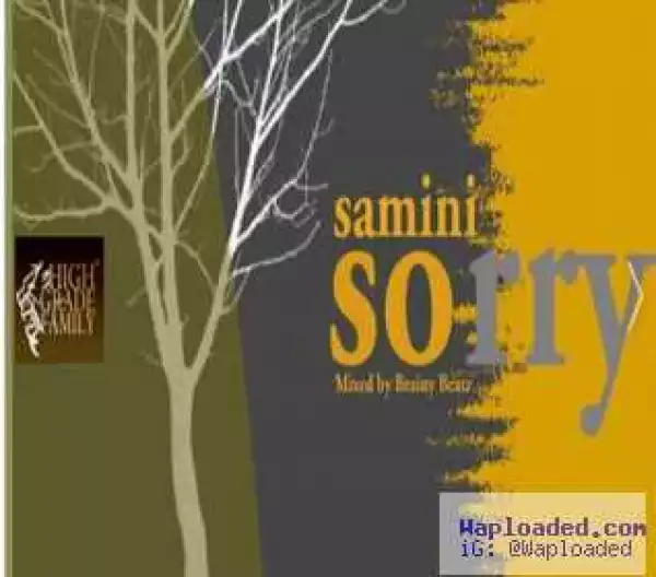 Samini - Sorry (Justine Bieber Cover)